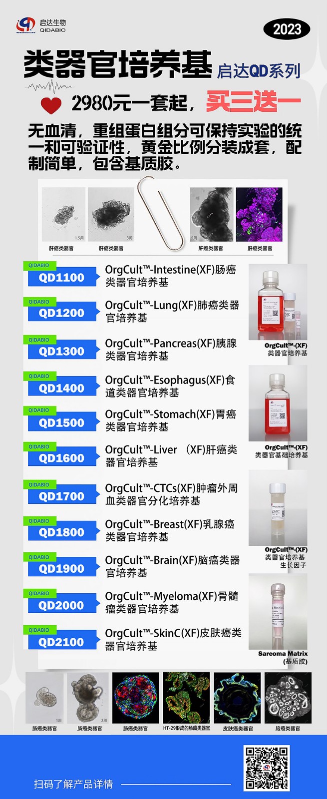類器官單頁.jpg