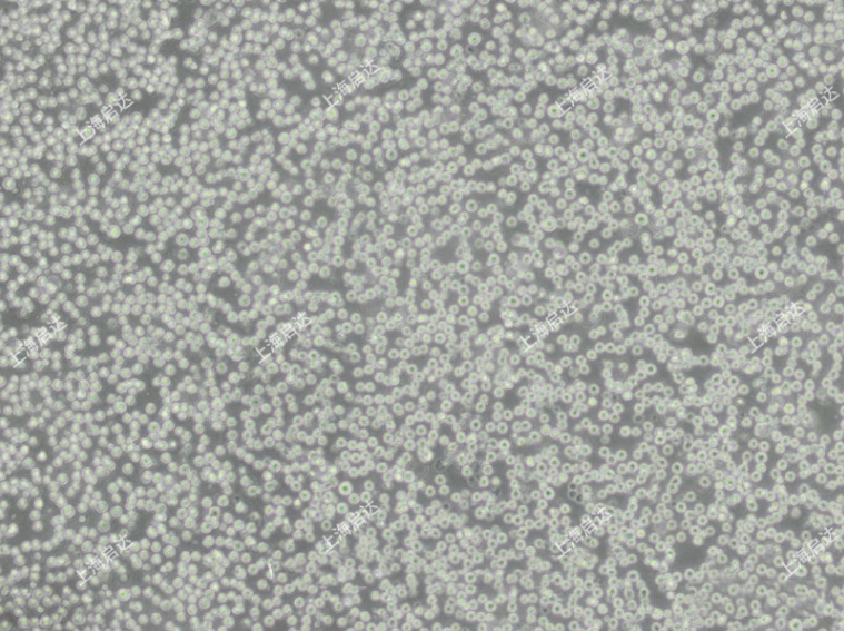 1687332510360486.png image.png