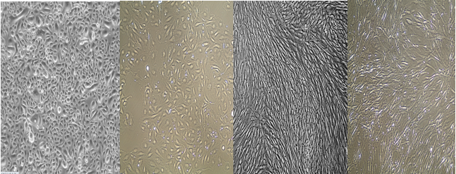 1716520423921959.png 圖片4.png