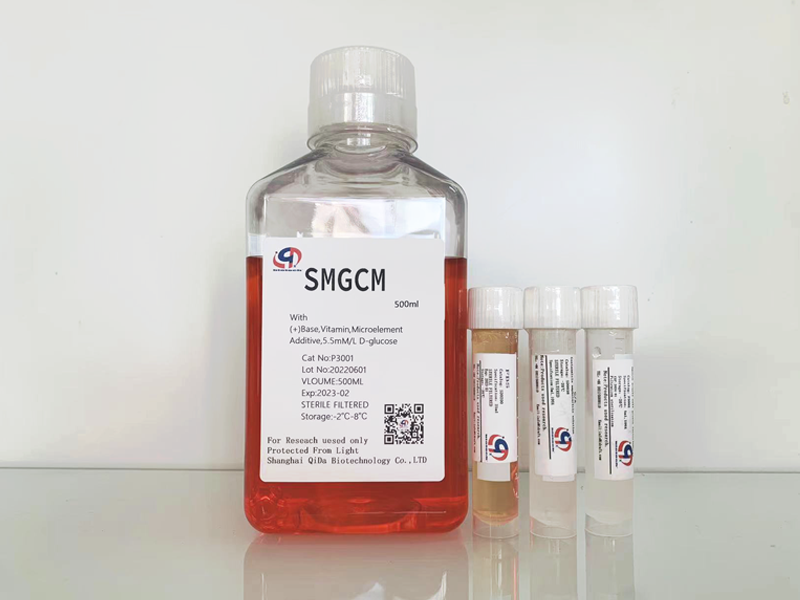 SMGCM 平滑肌細(xì)胞培養(yǎng)基