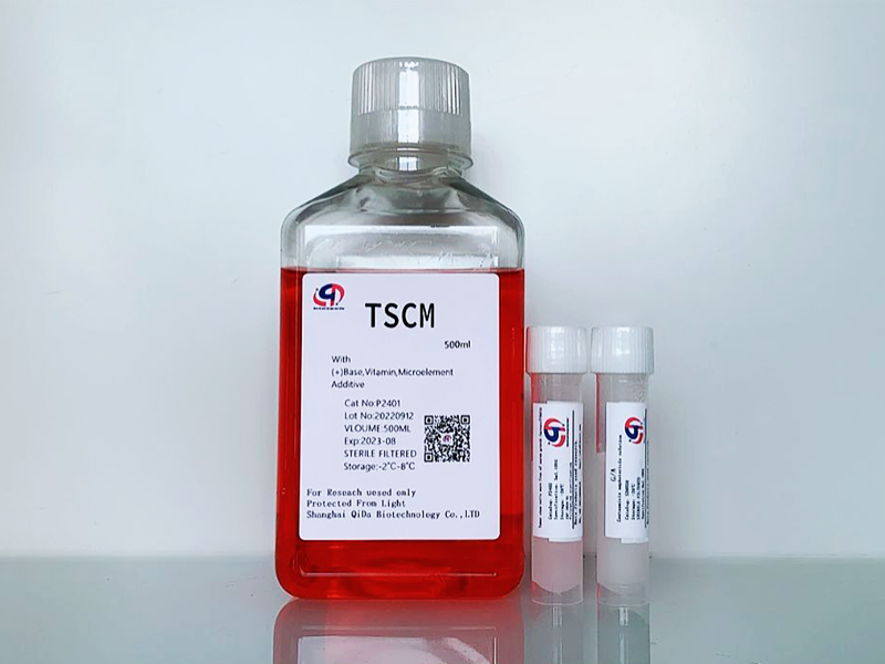 腫瘤干細胞的研究套路-干細胞的成球實驗操作步驟