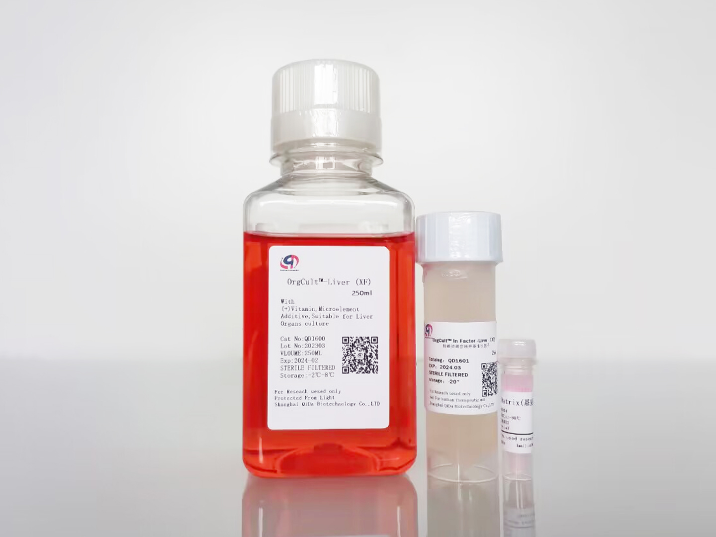 OrgCult?-Liver(XF)肝癌類器官培養(yǎng)基