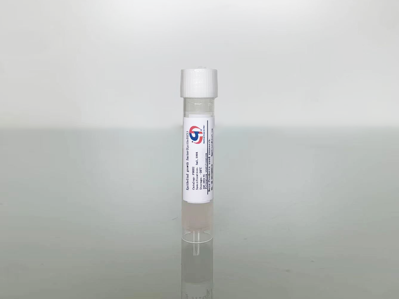 低血清上皮細胞生長因子