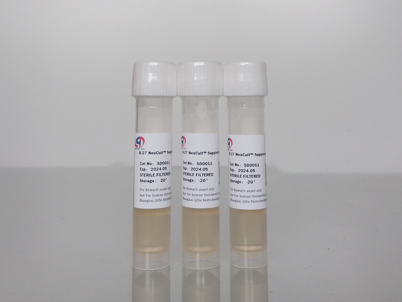 B-27 NeuCult? Supplement（50X）