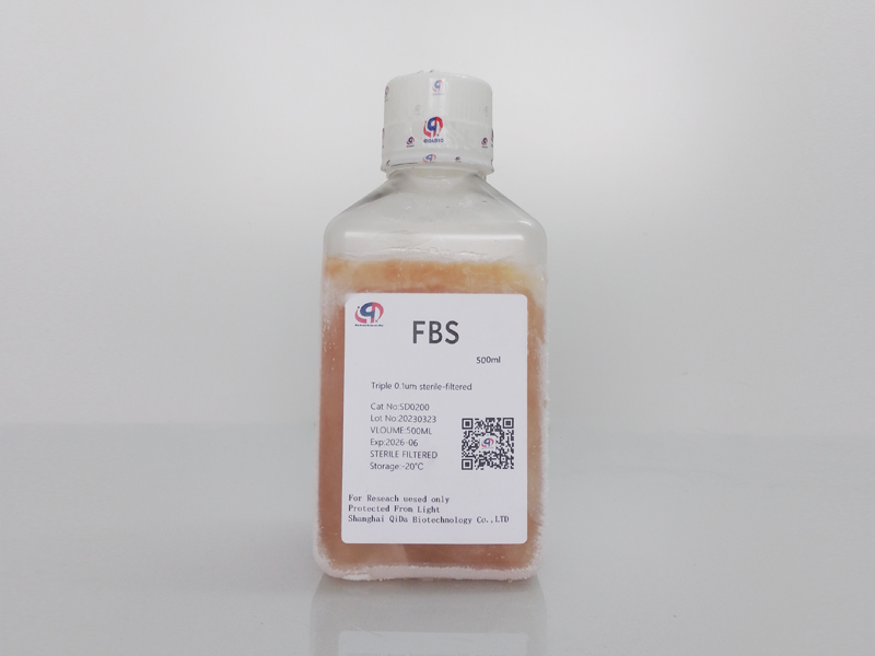胎牛血清FBS(優(yōu)選特級）