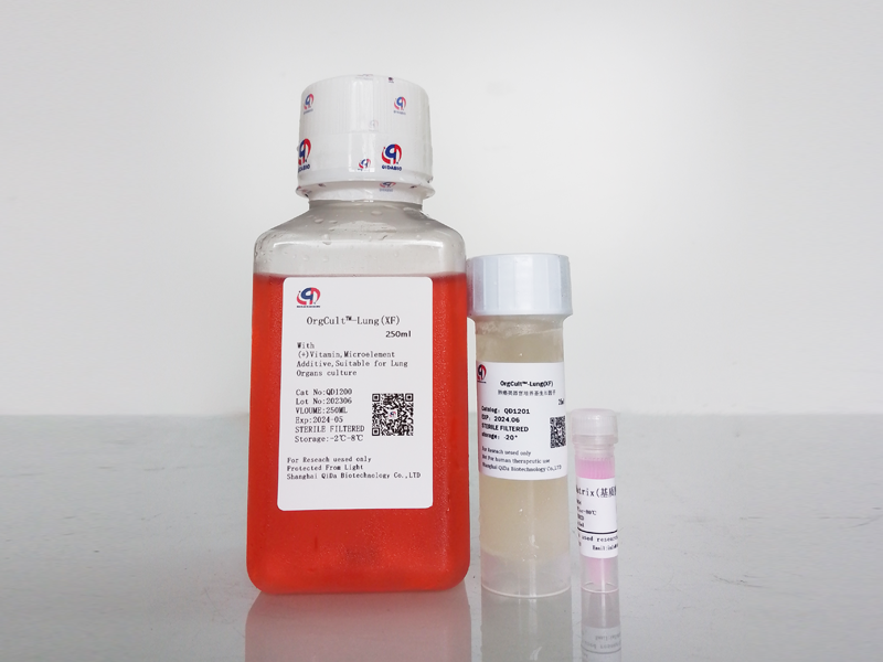 OrgCult?-Lung(XF)肺癌類器官培養(yǎng)基