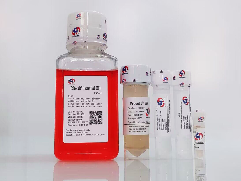 ToProcult? -Intestinal Tumor Medium 原代腸癌細(xì)胞培養(yǎng)基(XF)
