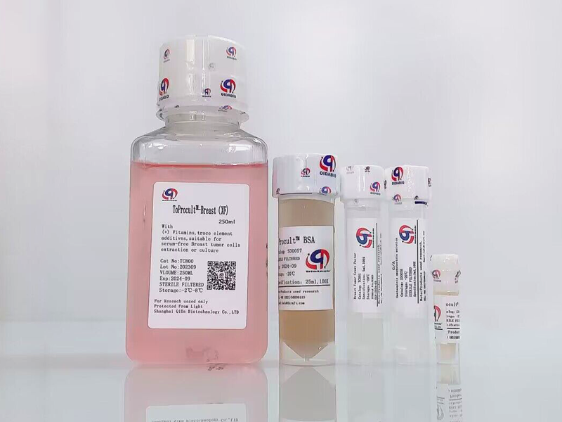 ToProcult?-Breast Tumor Medium 原代乳腺癌細(xì)胞培養(yǎng)基(XF)