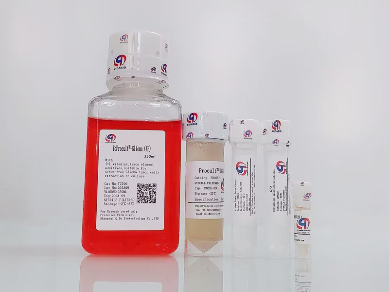 ToProcult?-Glioma Tumor Medium 原代膠質(zhì)瘤細(xì)胞培養(yǎng)基(XF)