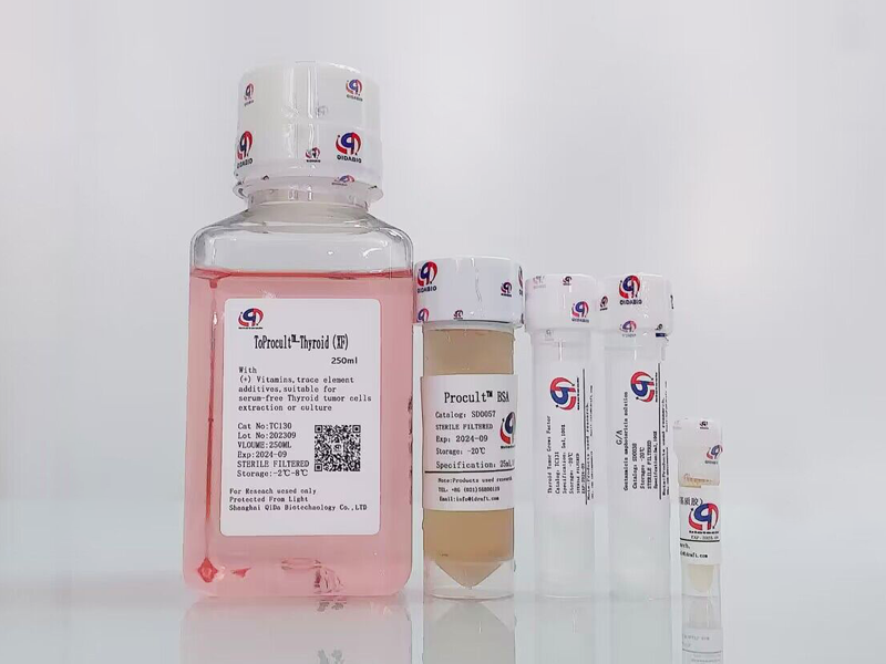 ToProcult?-Thyroid Medium 原代甲狀腺癌細(xì)胞培養(yǎng)基（XF）