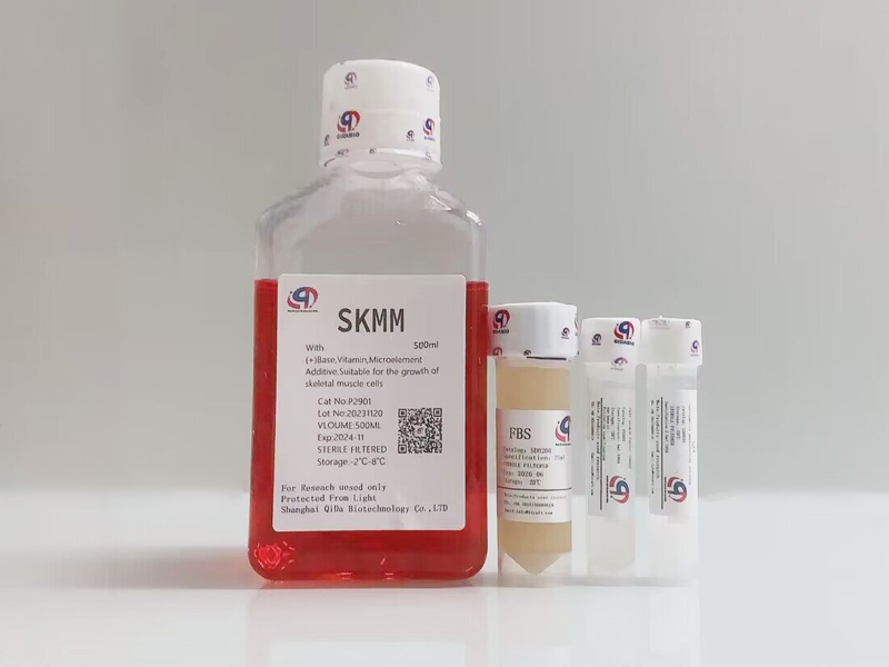SKMM 骨骼肌細(xì)胞培養(yǎng)基
