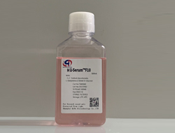 L-Serum?F10減血清基礎(chǔ)培養(yǎng)基