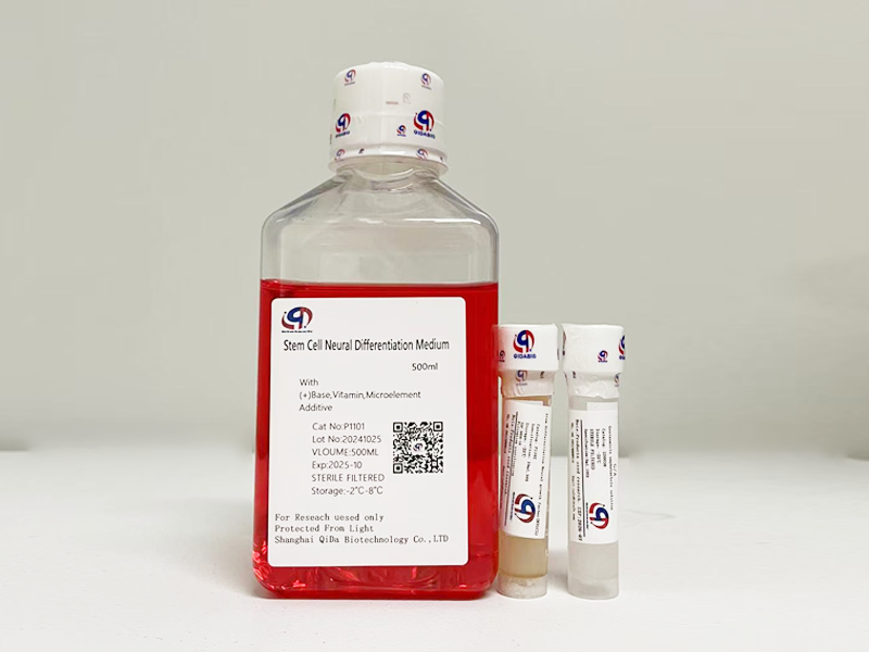 干細(xì)胞神經(jīng)分化培養(yǎng)基(Stem Cell Neural Differentiation Medium)