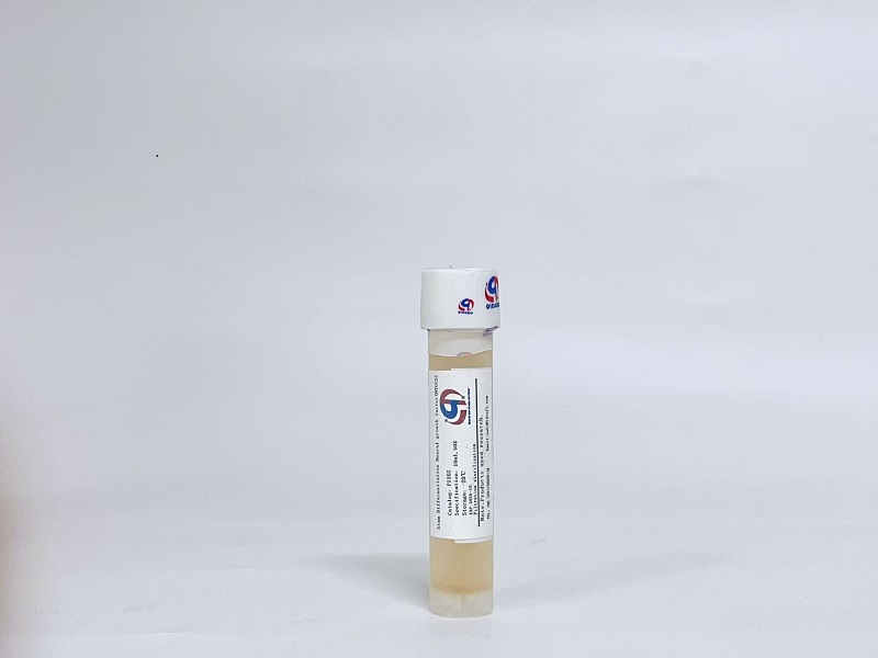 干細(xì)胞分化神經(jīng)細(xì)胞生長因子(Stem Cell Neural Differentiation Factor)