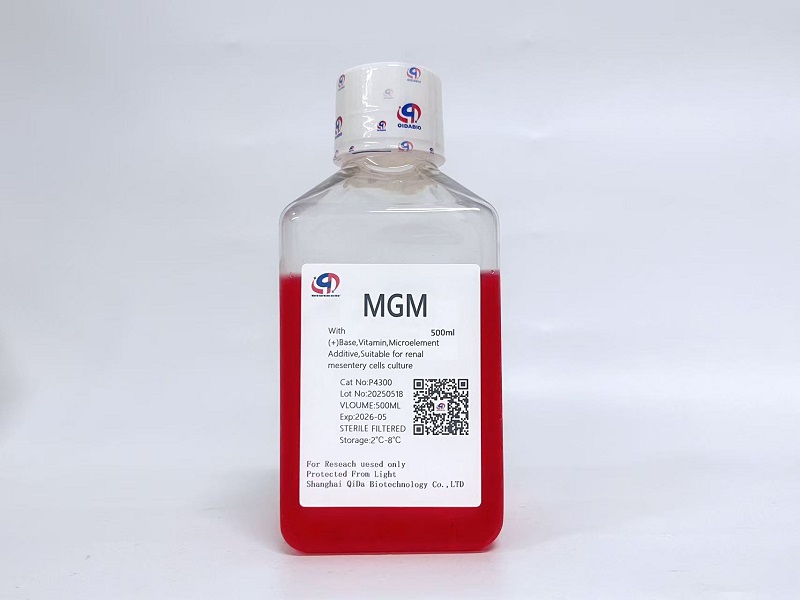 MGM腎系膜細(xì)胞基礎(chǔ)培養(yǎng)基