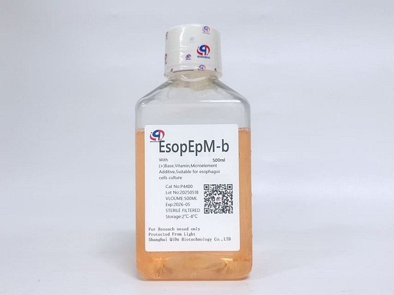 EsopEp 食道上皮細(xì)胞基礎(chǔ)培養(yǎng)基