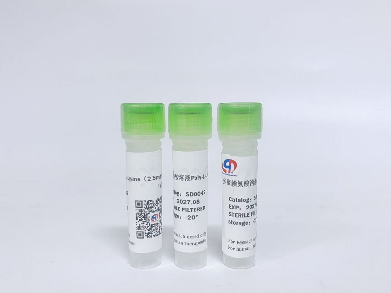 多聚賴氨酸溶液Poly-L-Lysine(2.5mg/ml)