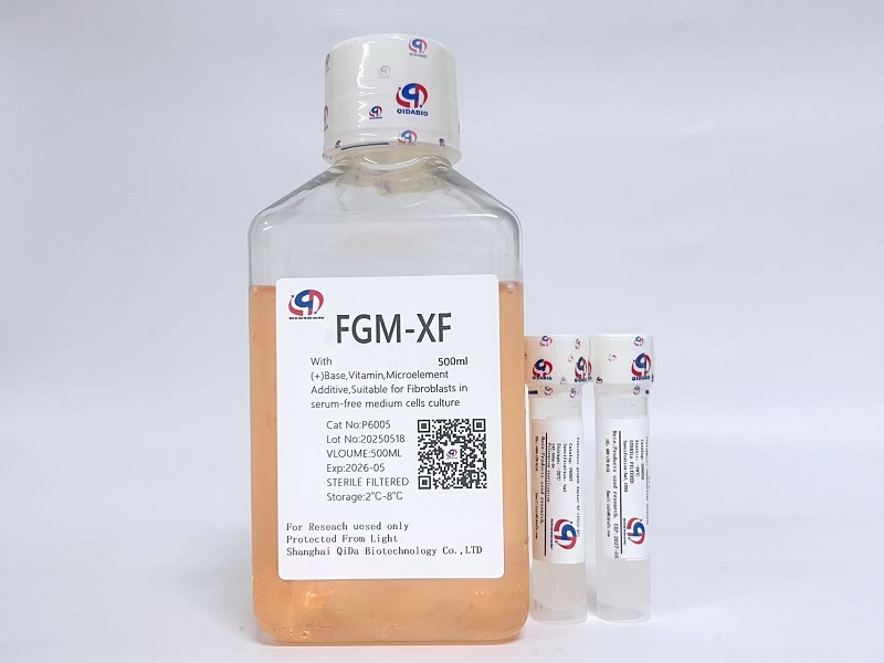 FGM成纖維細(xì)胞培養(yǎng)基（無(wú)血清）