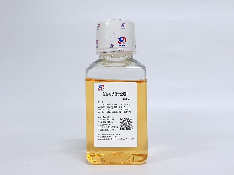 ToProcult?-Thyroid Basic Medium原代甲狀腺癌細胞基礎培養(yǎng)基(XF)