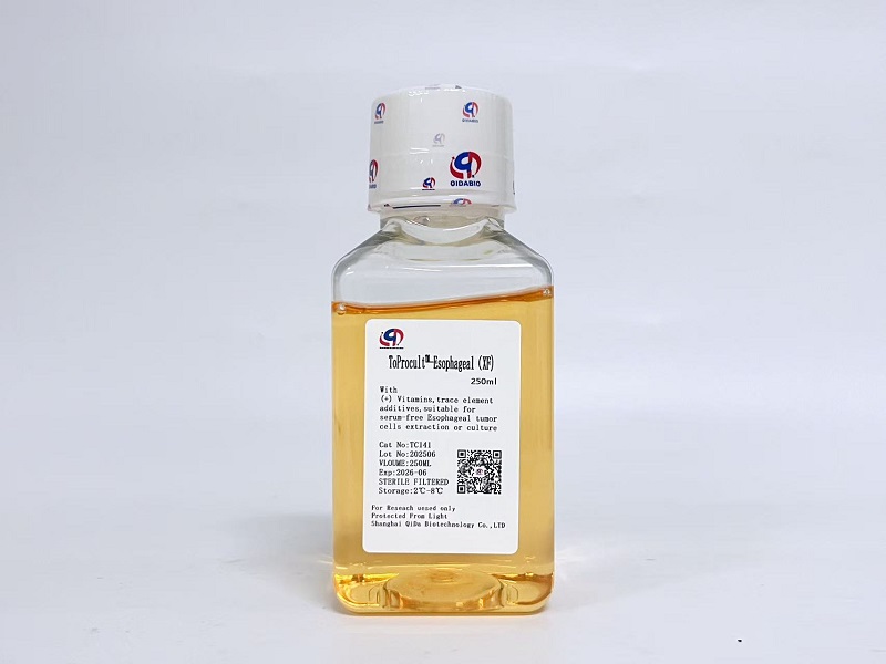ToProcult?-Esophageal Medium 原代食管癌細胞基礎培養(yǎng)基(XF)