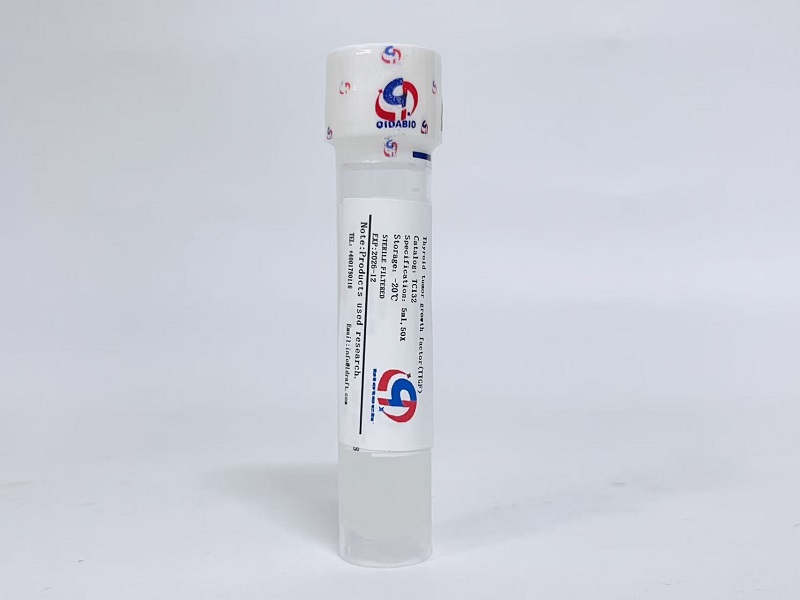 TTGF甲狀腺癌細(xì)胞生長(zhǎng)因子