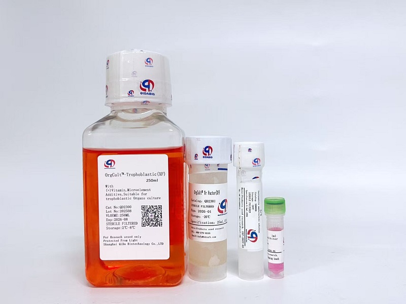 OrgCult?-Trophoblastic滋養(yǎng)層類器官培養(yǎng)基