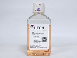 UEGM子宮上皮細(xì)胞基礎(chǔ)培養(yǎng)基